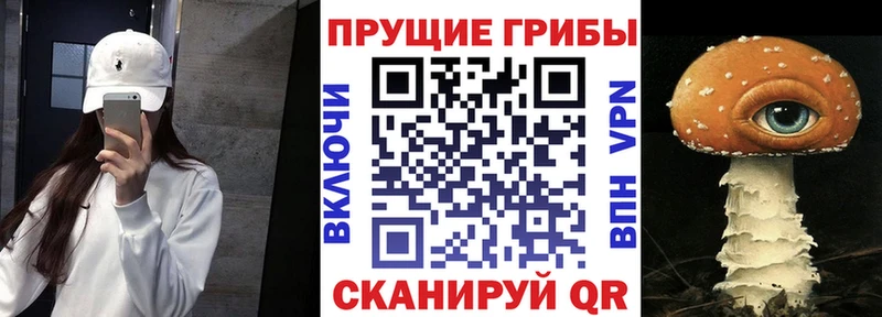 Галлюциногенные грибы мицелий  МЕГА онион  Орёл 